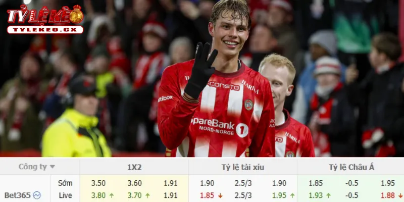 Chi tiết kèo Aalesund vs Tromso